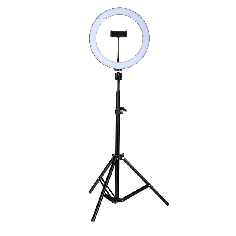 61986251-1-zoom